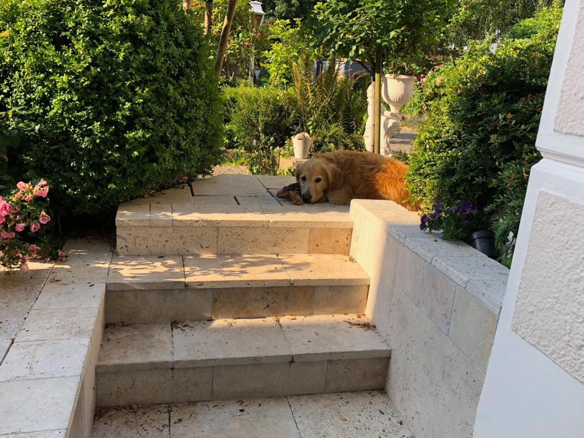 Rosengarten Auf Der Sonneninsel Apartment