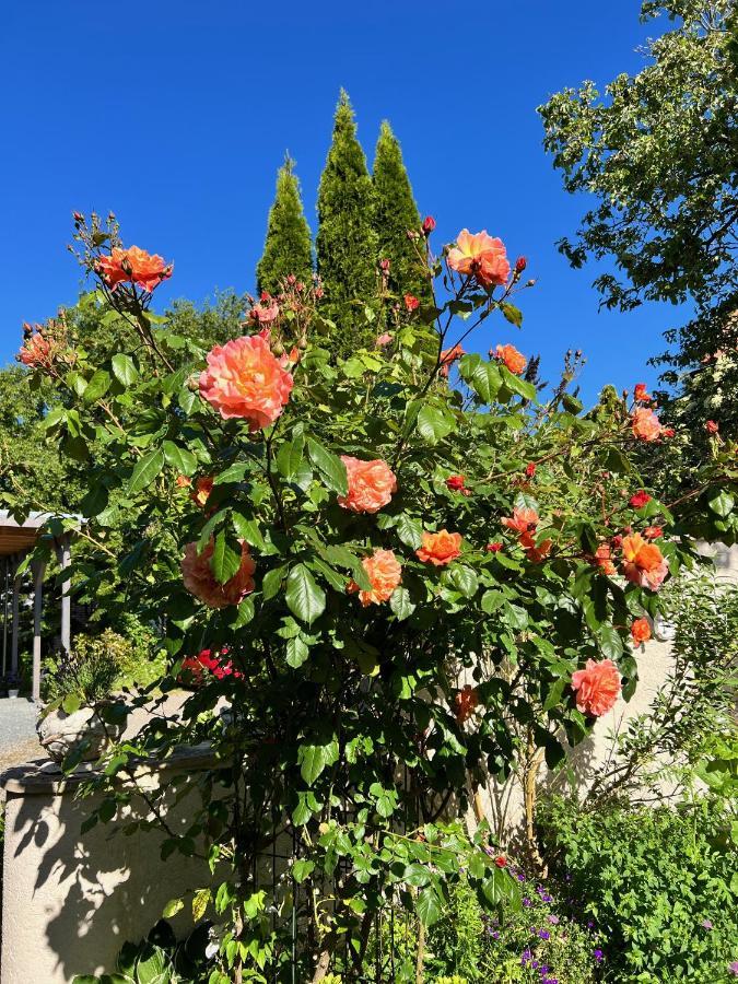 Rosengarten Auf Der Sonneninsel Fehmarn