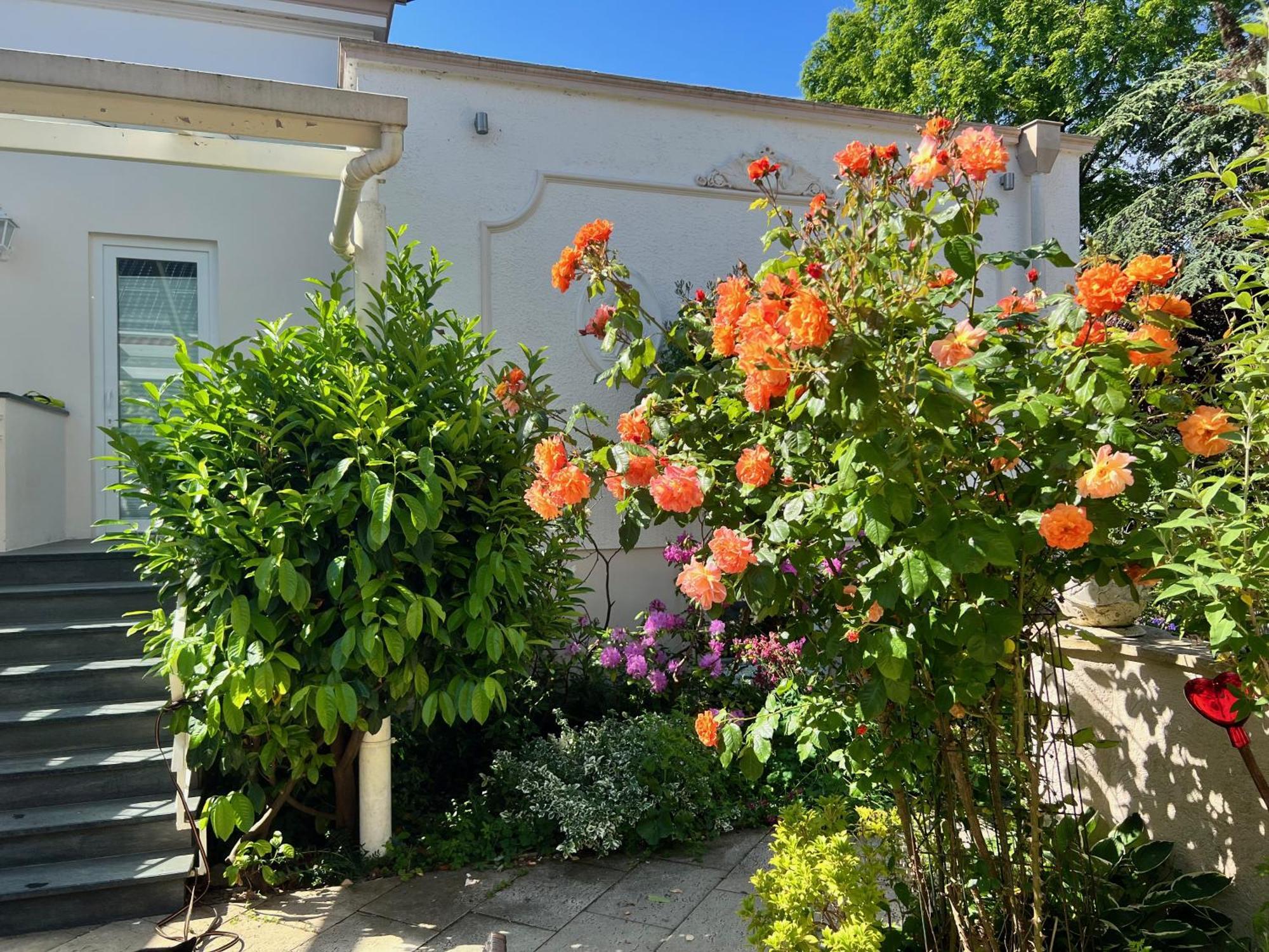 Rosengarten Auf Der Sonneninsel Apartment Fehmarn